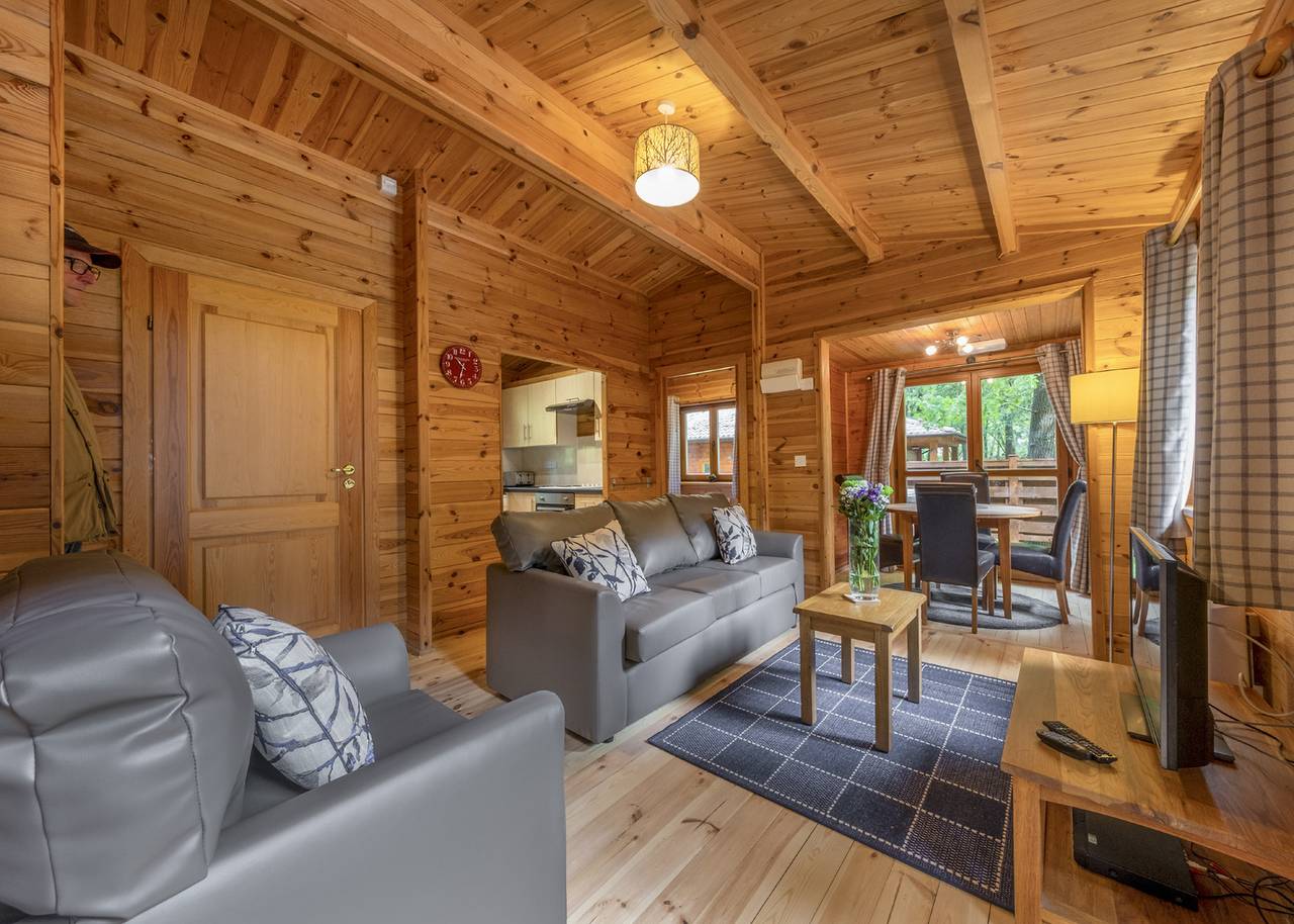 Woodland Beech Lodge in Shropshire