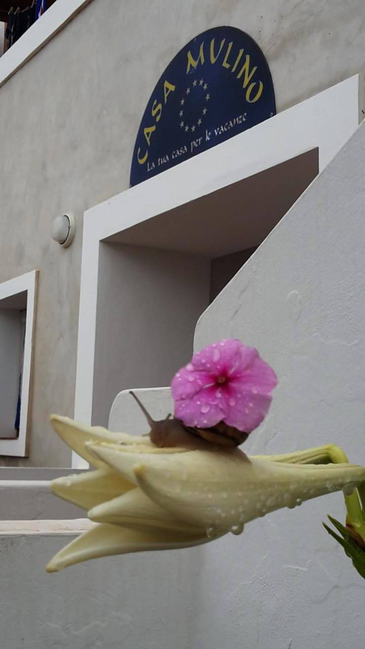 Double Room in Alicudi