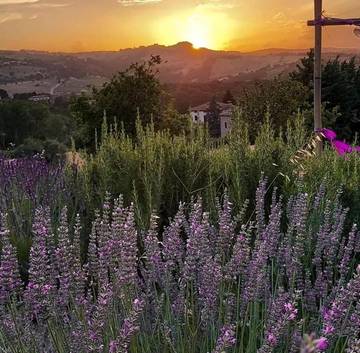 Cottage pour 2 personnes, avec jardin et vue, animaux acceptés à Cingoli
