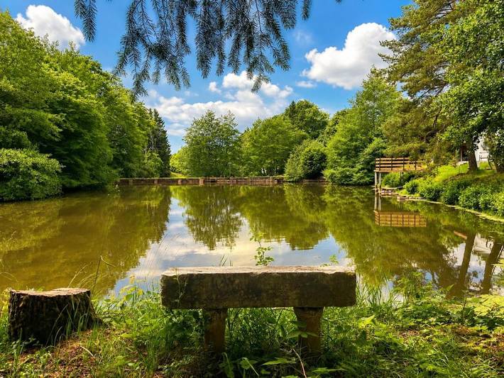 Location de vacances pour 3 personnes, avec Terrasse et Jardin ainsi que Vue et Vue sur le lac dans Frahier-et-Chatebier - 4