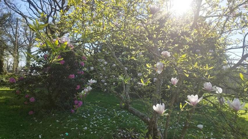 Location de vacances pour 6 personnes, avec terrasse à Camors - 4