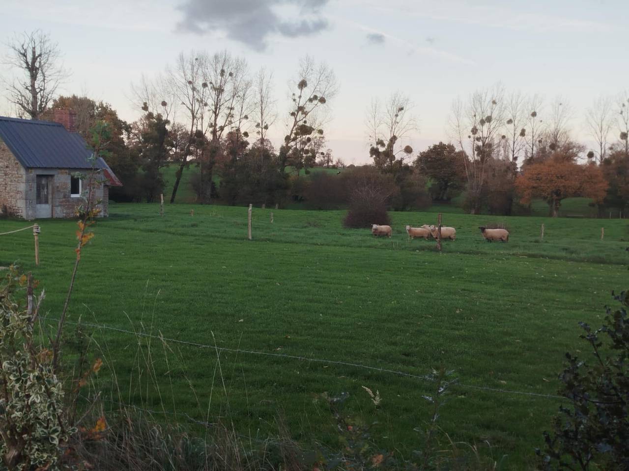Chambre d’hôtes « La Bourgerie » avec terrasse partagée, jardin partagé et Wi-Fi in Région de Vire