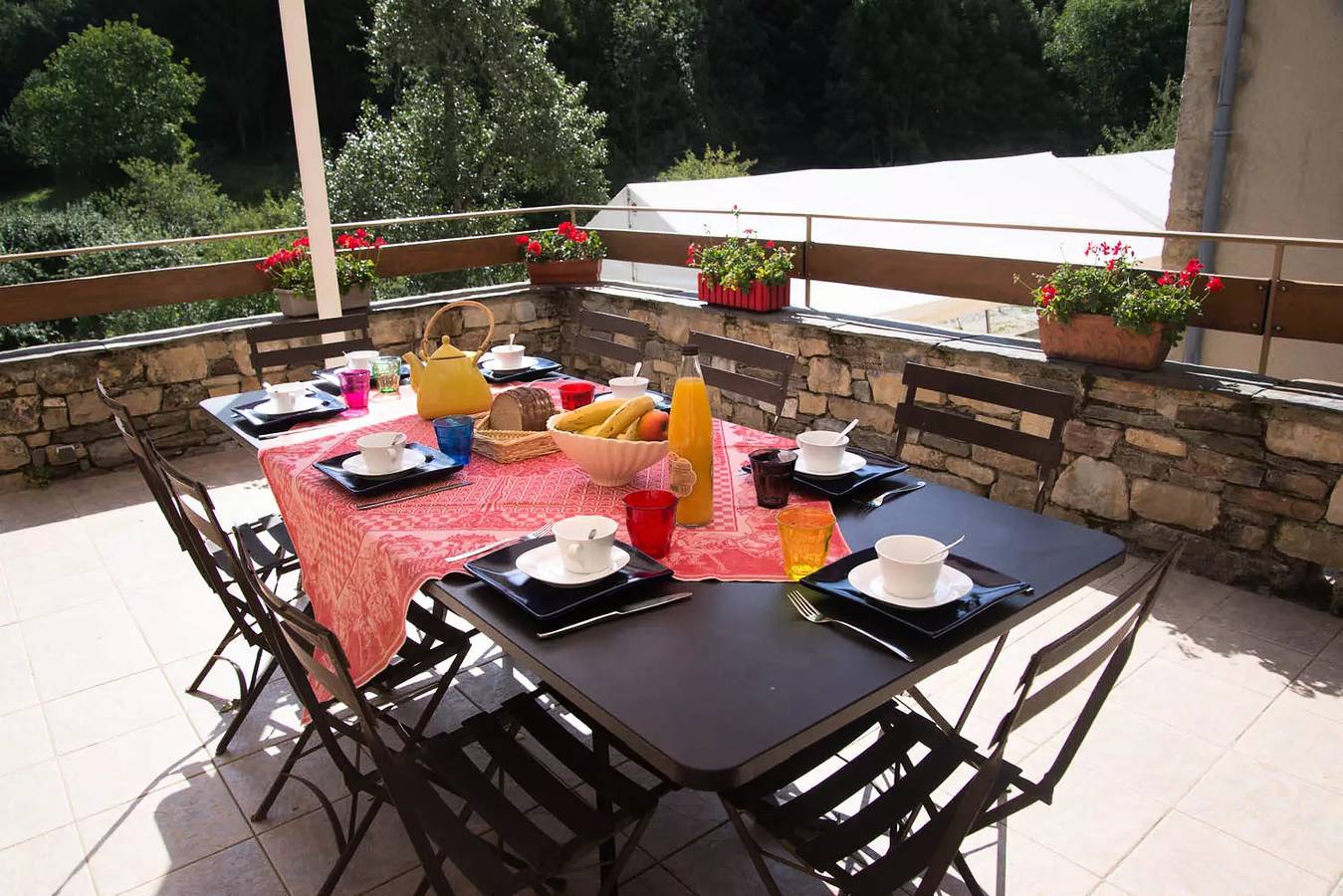 Gîte de France 9 Personen in Fraissinet-de-Fourques, Cevennen