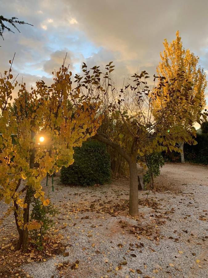 Casa rural para 6 personas, con jardín además de vistas y piscina en Pozo Alcón - 4