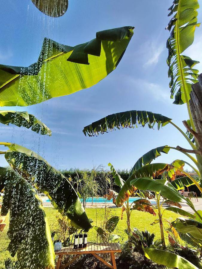 Location de vacances pour 6 personnes, avec piscine ainsi que vue et jardin, adapté aux familles dans Alcochete - 2