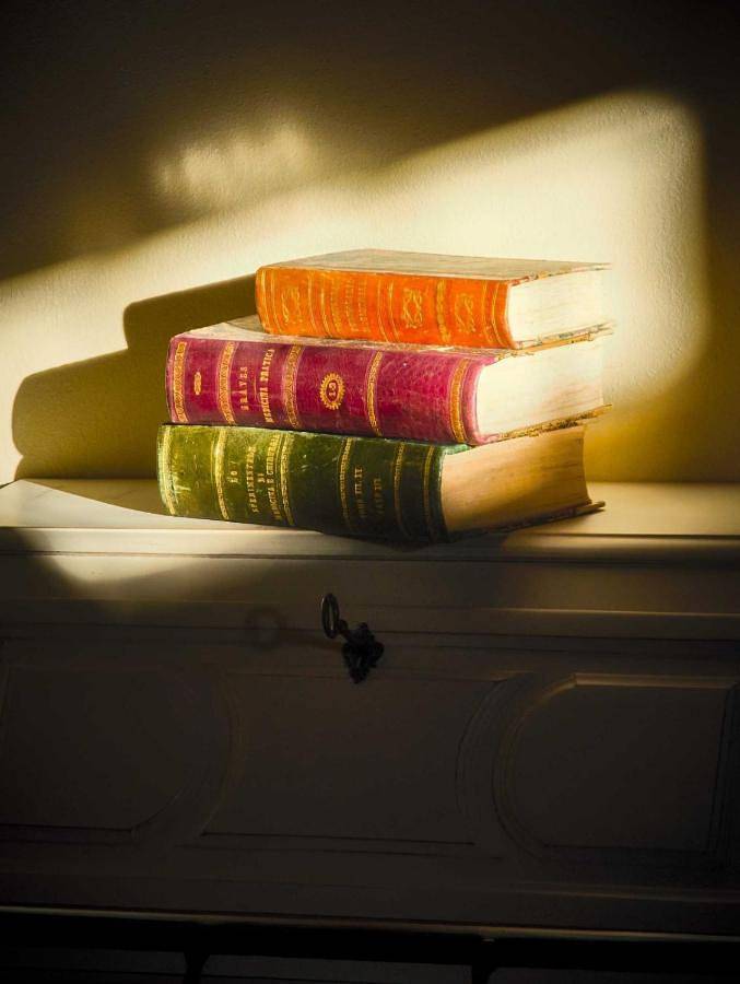 Chambre d’hôte pour 3 personnes, avec piscine et jardin, animaux acceptés à San Gimignano - 3