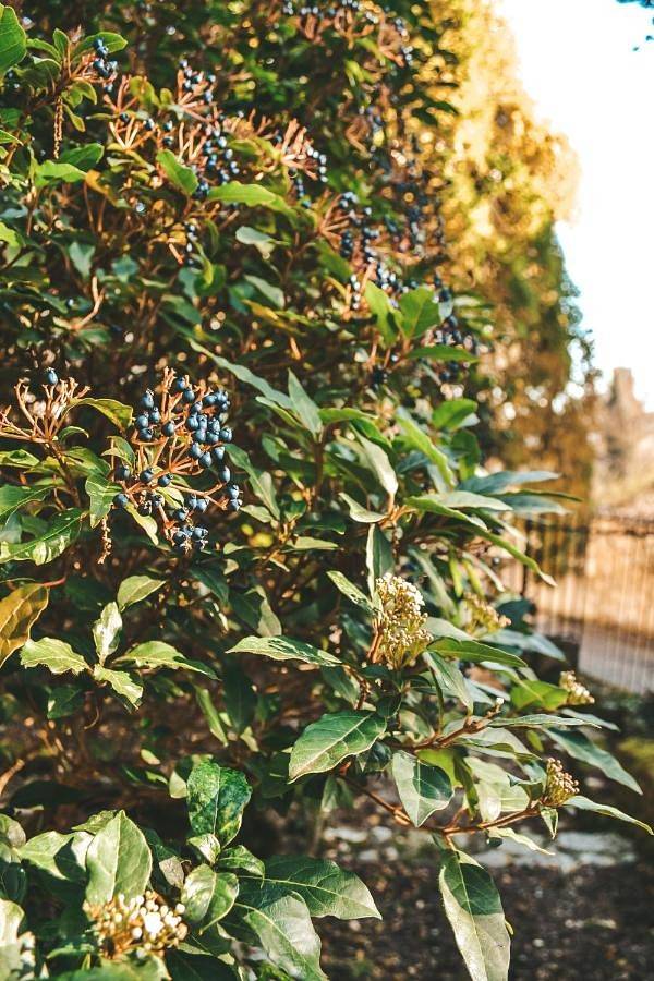 Chambre d’hôte pour 2 personnes, avec jardin ainsi que vue et terrasse à Condom - 2