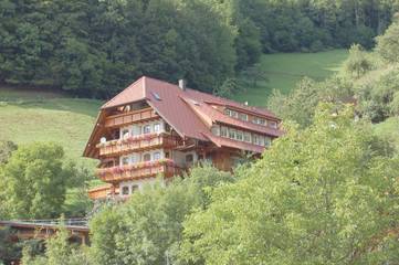 Vacation Apartment for 4 Guests in Bad Peterstal-Griesbach, Black Forest, Picture 3