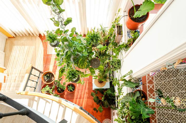 Finca für 7 Personen, mit Garten, mit Haustier an der Costa Brava - 3