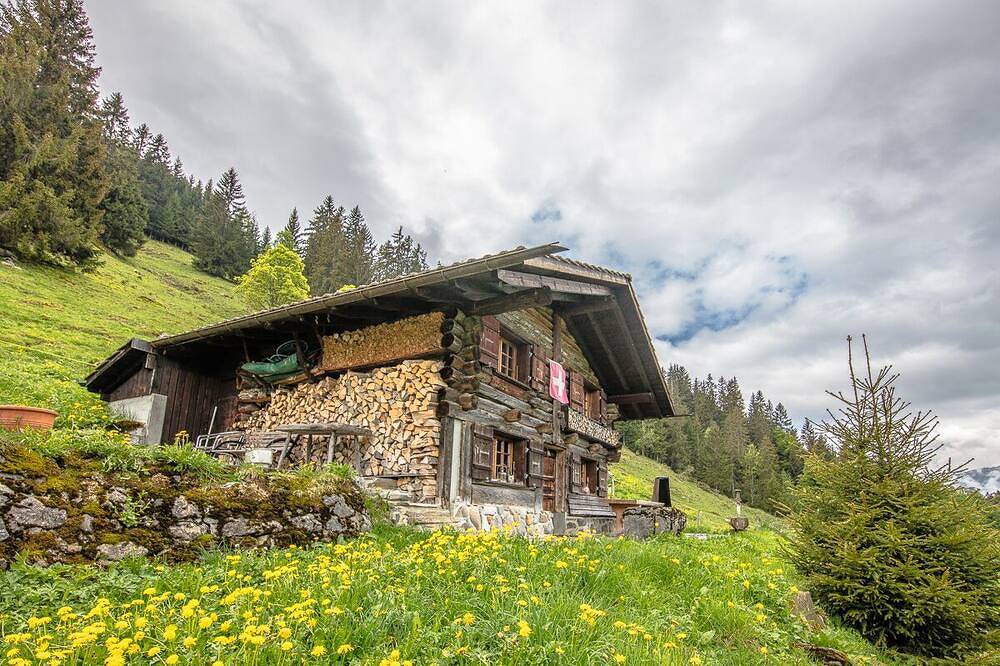 Ruhe, Auszeit, Work-Live Balance garantiert, Paare, Familien in Axalp, Brienz