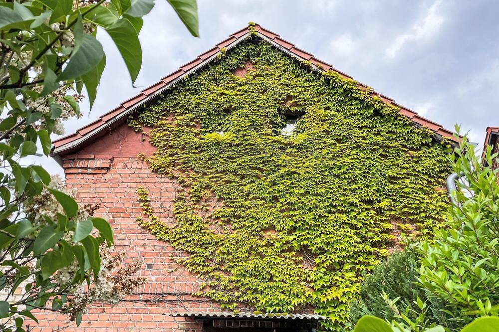 Ferienhaus Jana by Interhome in Buchholz, Müritz