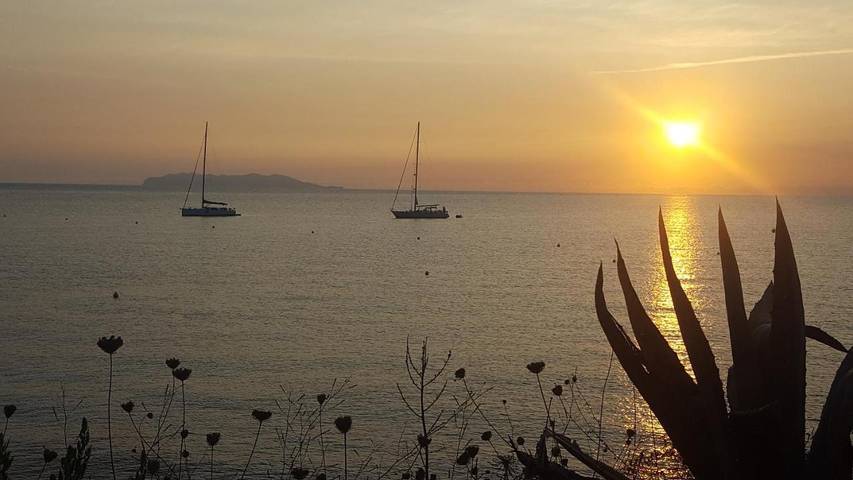 Chambre d’hôte pour 2 personnes, avec terrasse, animaux acceptés dans Cap Corse - 4