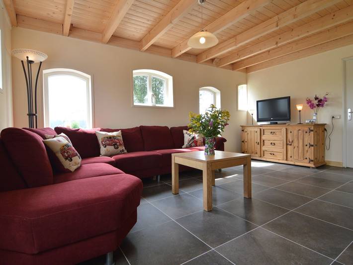 Vakantiehuis voor 6 personen, met Terras en Tuin in Holten