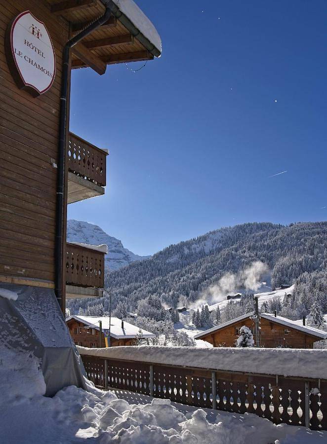 Hôtel Le Chamois in Les Diablerets, Ormont-Dessus (Les Diablerets)