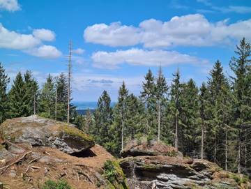 Ferienwohnung für 4 Personen in Ochsenkopf, Bischofsgrün, Bild 4
