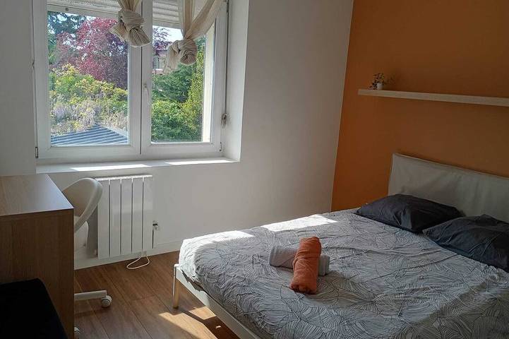 Location de vacances pour 10 personnes, avec jardin, animaux acceptés à Faches-Thumesnil - 3