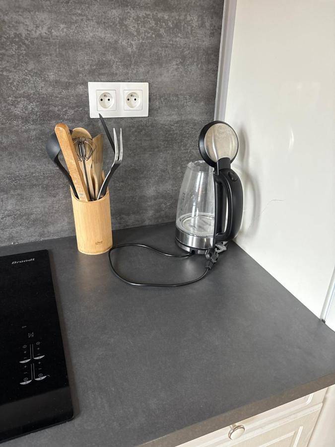 Location de vacances pour 8 personnes, avec Balcon ainsi que Terrasse et Jardin à Mer - 4