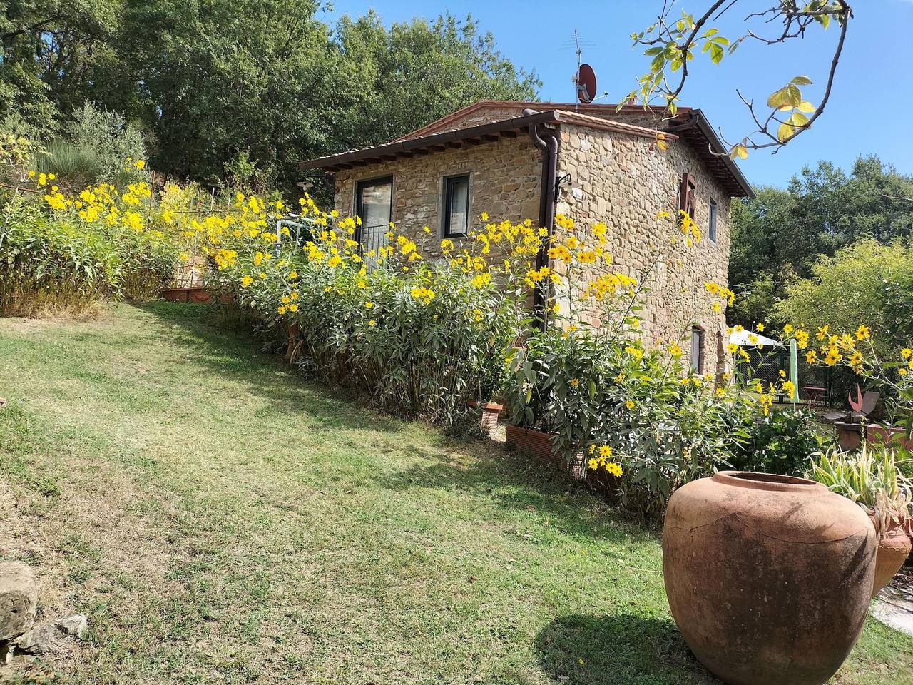 La Casa Nel Bosco D'arte - Greve In Chianti - La C in Greve In Chianti, Chianti
