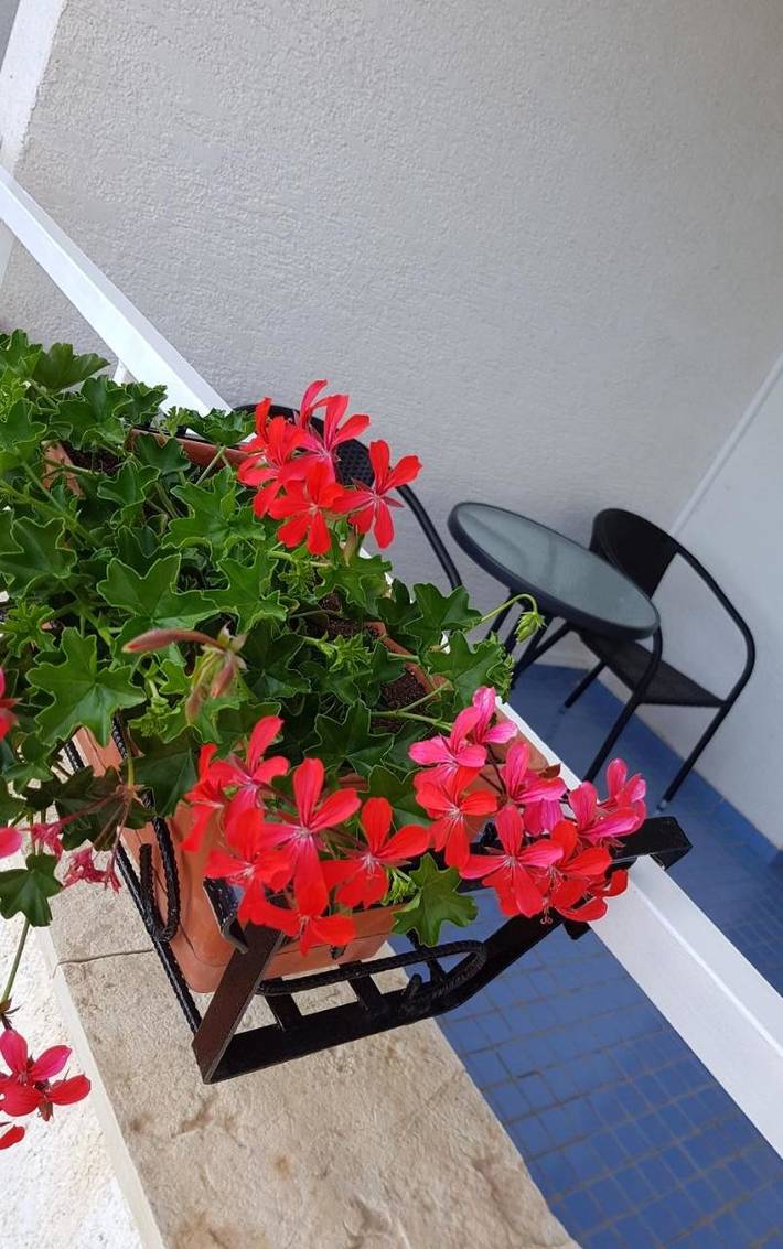 Chambre d’hôte pour 2 personnes, avec vue et jardin dans Région de Zadar - 2