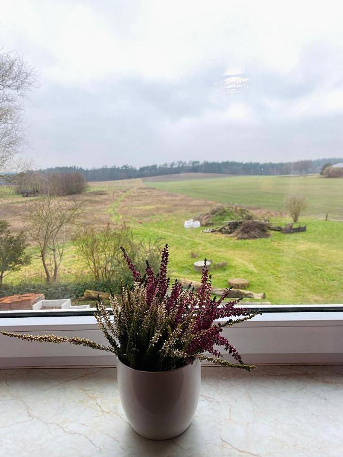 Lily-Rose Cottage in Nordheide