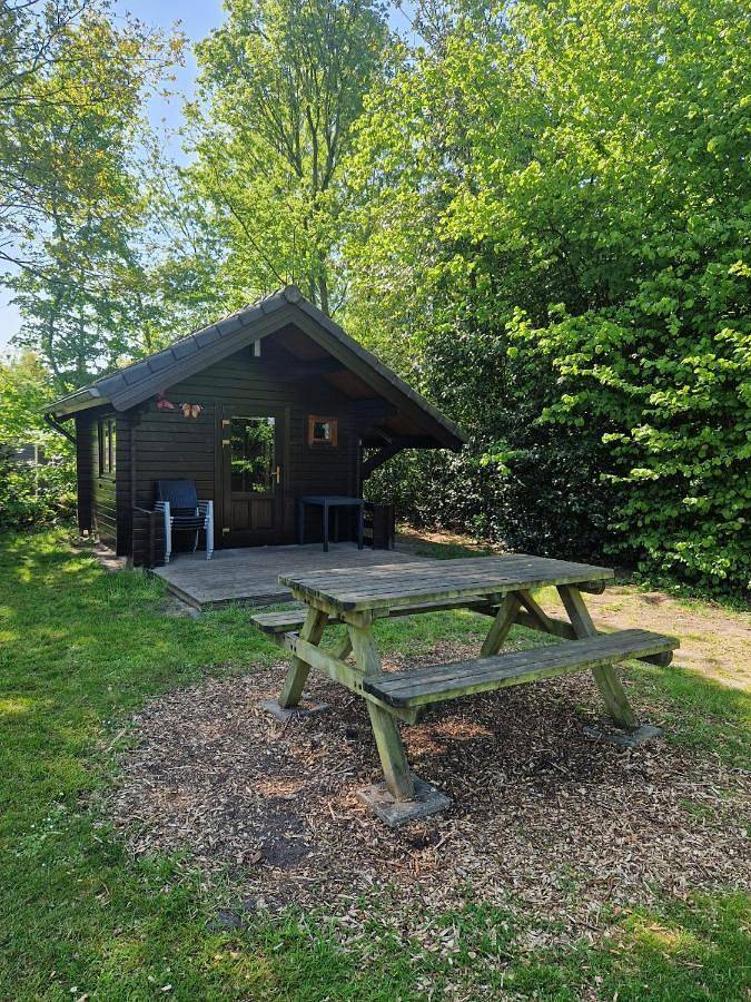 Zelt für 4 Personen, mit Terrasse und Pool sowie Ausblick in Appelscha