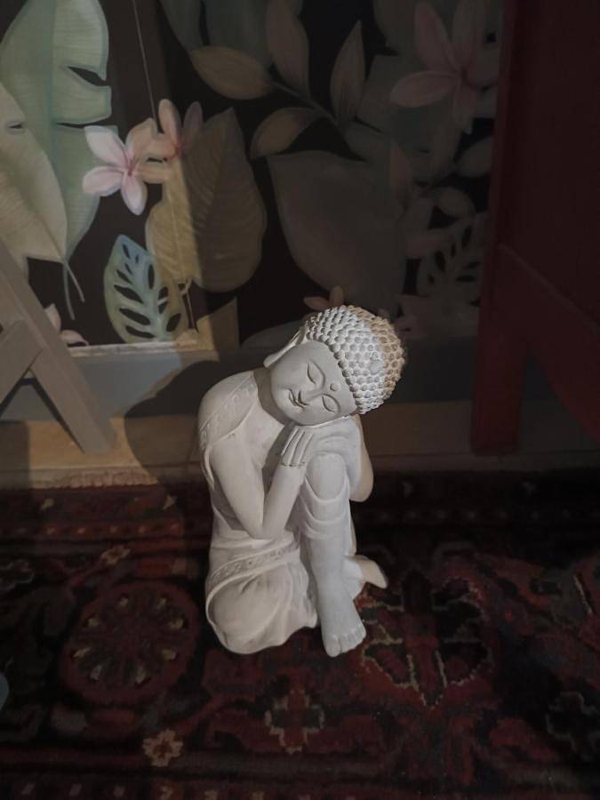 Location de vacances pour 4 personnes à Saint-Paul-de-Fenouillet - 2