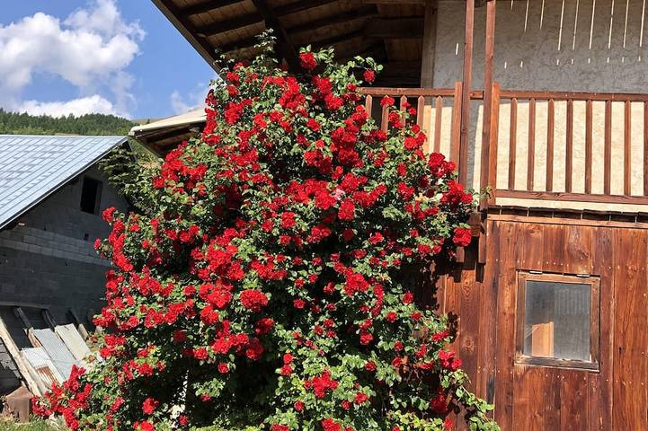 Casa de vacaciones para 6 personas, con balcón y jardín - 1