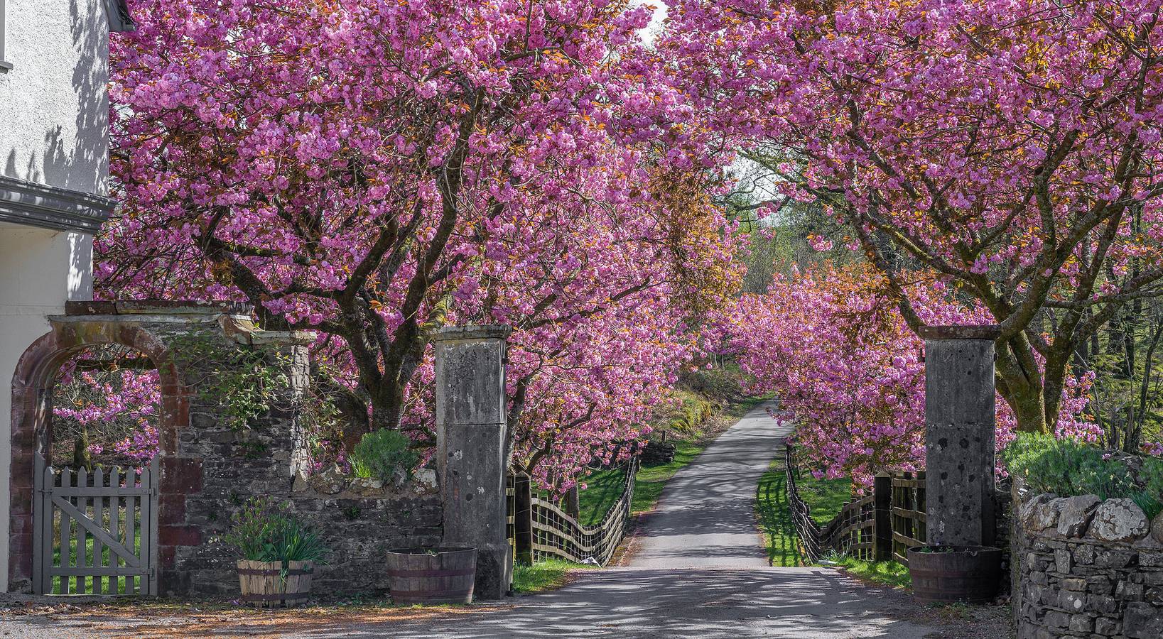 Bassicks in Lake District