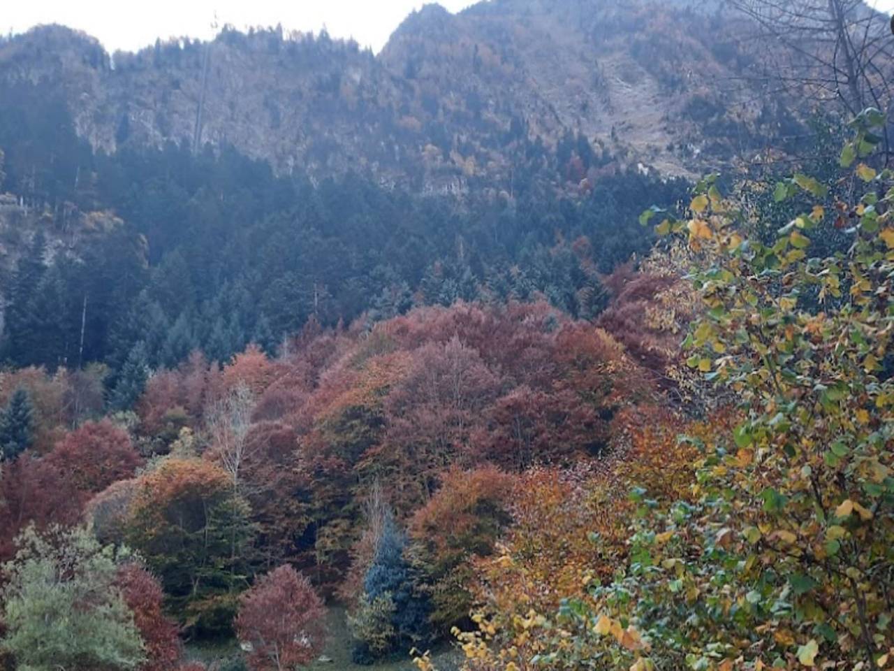 Apartamento entero, Lejlighed i Guchen med bjergudsigt in Guchen, Parque nacional de los Pirineos