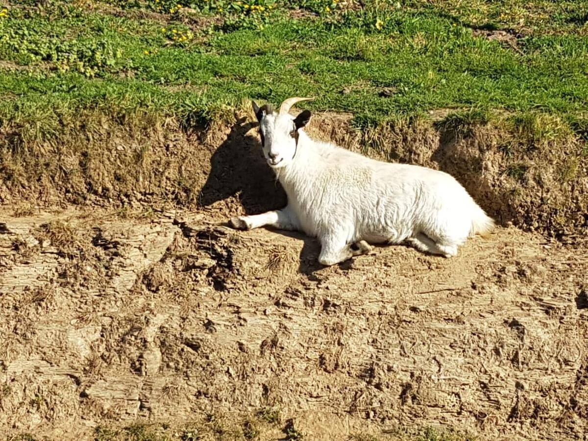 Le clos du Tay in La Gacilly, Région de Vannes