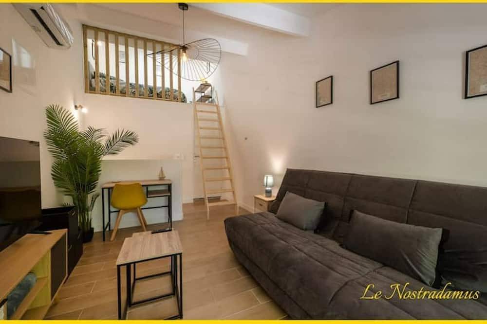 Entire apartment, Le Nostradamus - Magnificent downtown apartment with parking in Salon-de-Provence, Aix-en-Provence region