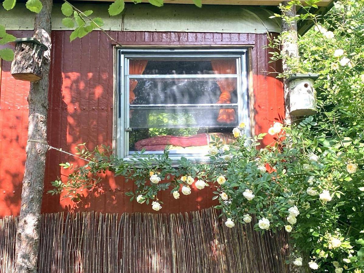Kuscheliger Zirkuswagen im Wildgarten in Witzenhausen, Werratal