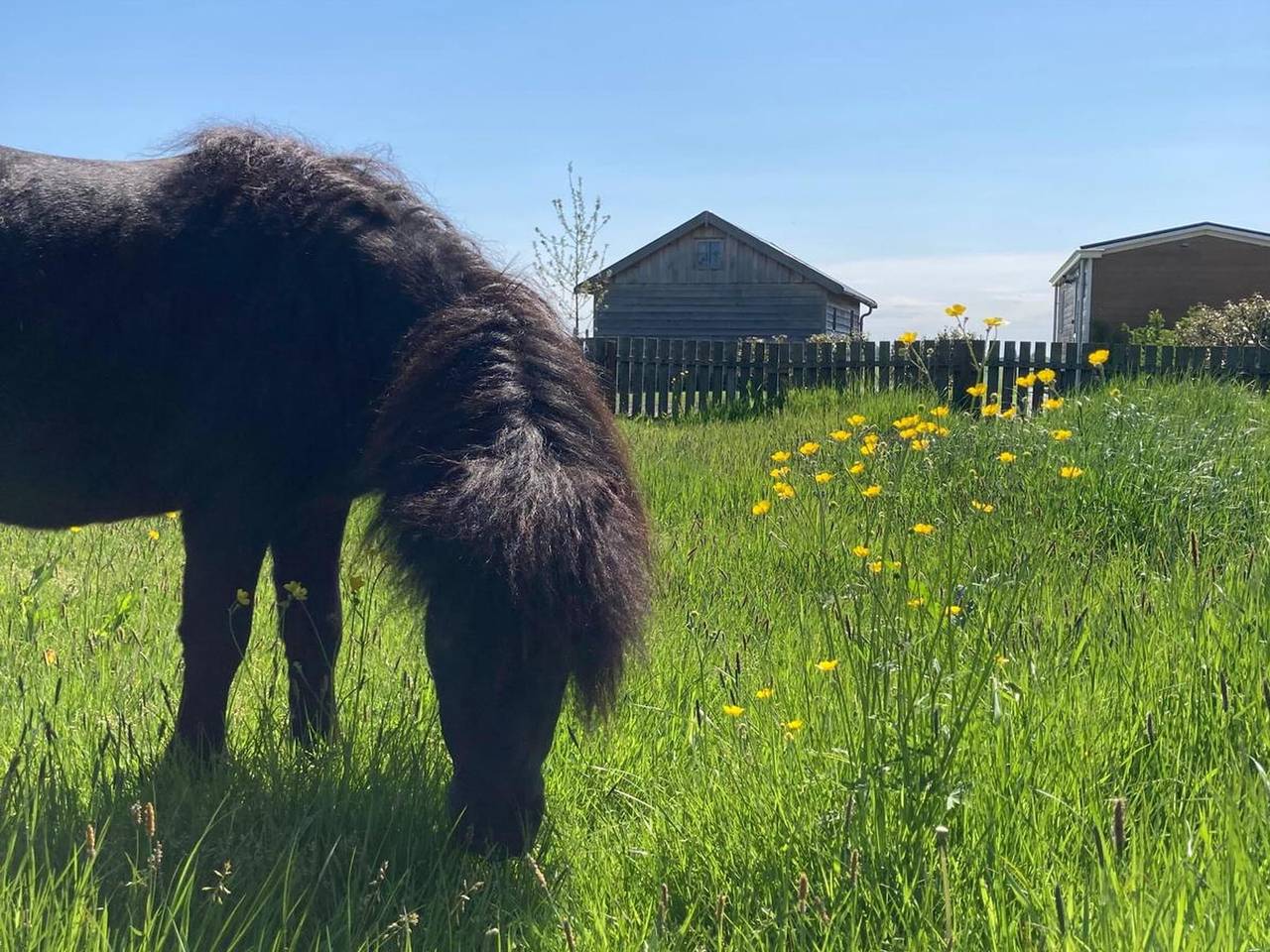Ferienhäuser in Friesland mit Bauernhof in Ijsselmeer
