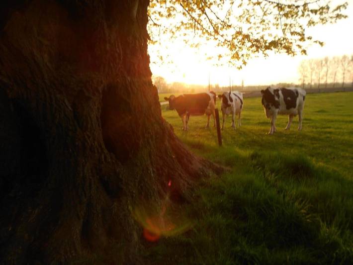 Location de vacances pour 9 personnes, avec jardin et vue, adapté aux familles à Oostkamp - 4