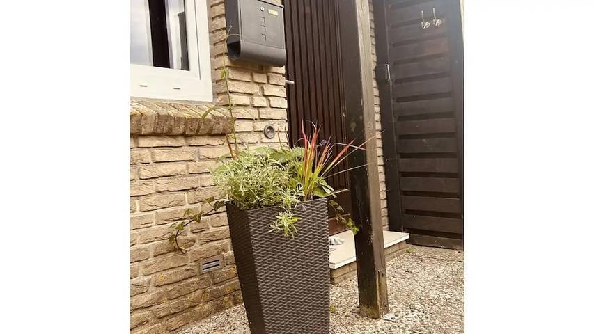 Ferienhaus für 6 Personen, mit Terrasse, mit Haustier in Nordholz - 3