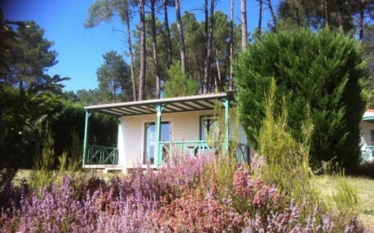 Chalet pour 4 personnes, avec Bassin pour enfant et Piscine en Dordogne - 4