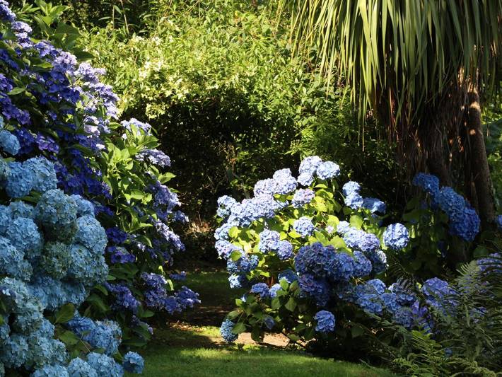 Gîte pour 2 personnes, avec jardin à Urville-Nacqueville - 3