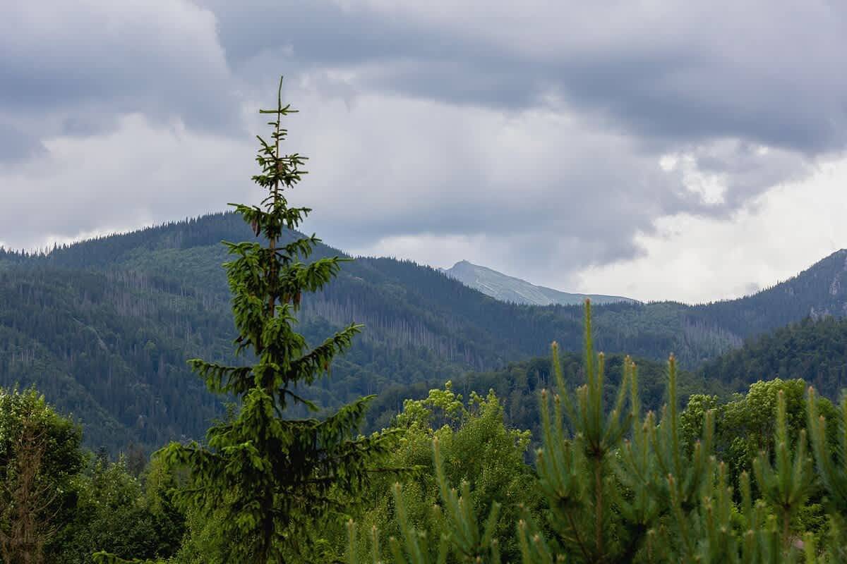 Entire apartment, Apartment in the Center | 2 Balconies with Mountain View in Zakopane, Carpathians (Poland)