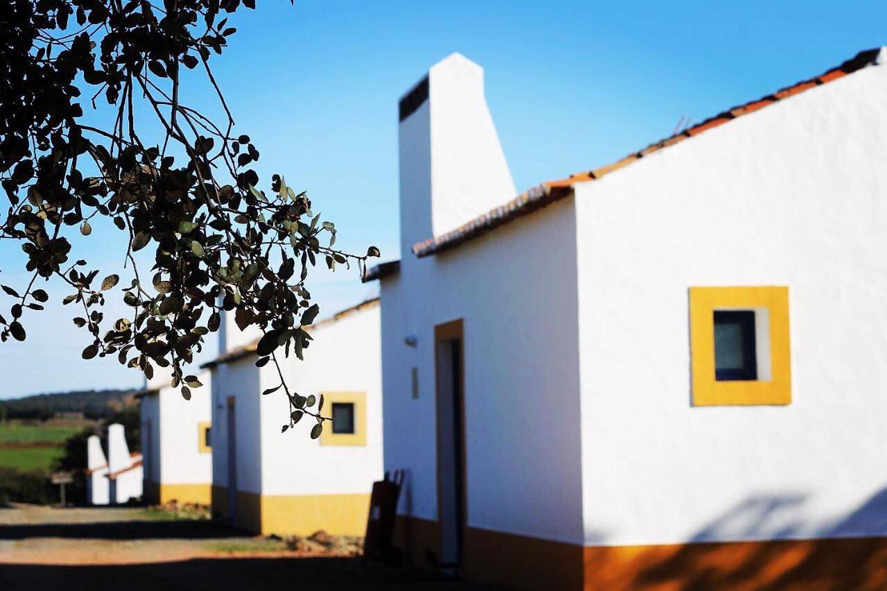 Quinta dos Amarelos in Monforte, Distrito de Portalegre