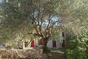 Location de vacances pour 8 personnes, avec jardin à Montlaur (Languedoc-Roussillon)