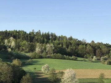 Ferienhaus für 5 Personen in Spessart-Mainland