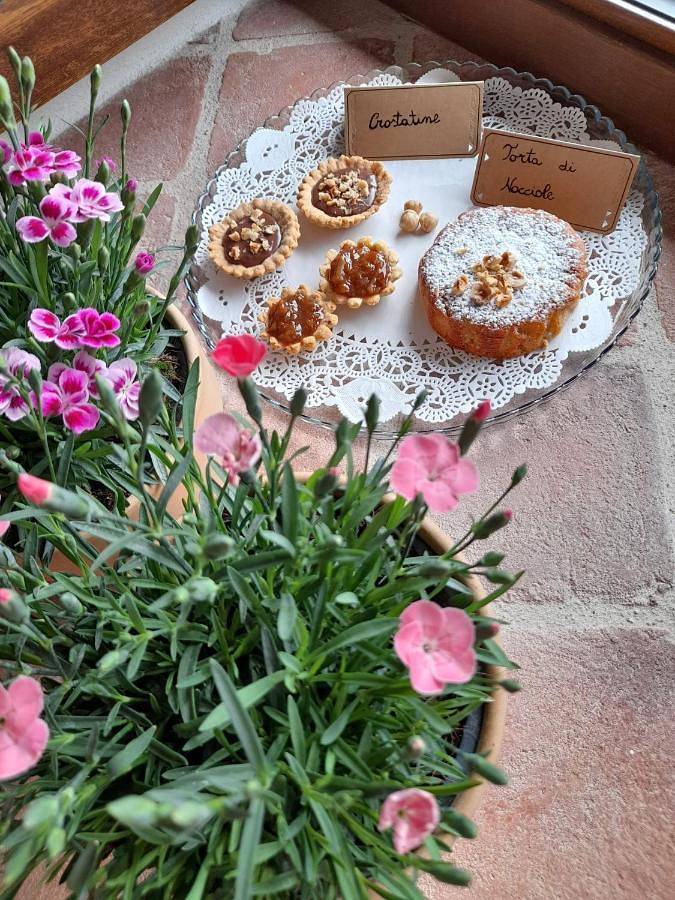 Chambre d’hôte pour 2 personnes, avec terrasse, animaux acceptés à La Morra - 3