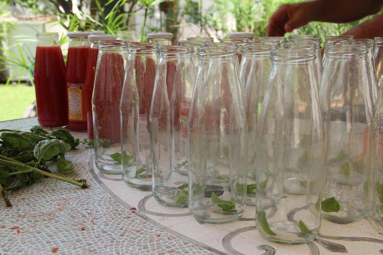 Donna Lea in Cittadella del Capo, Costa Tirrenica Calabria