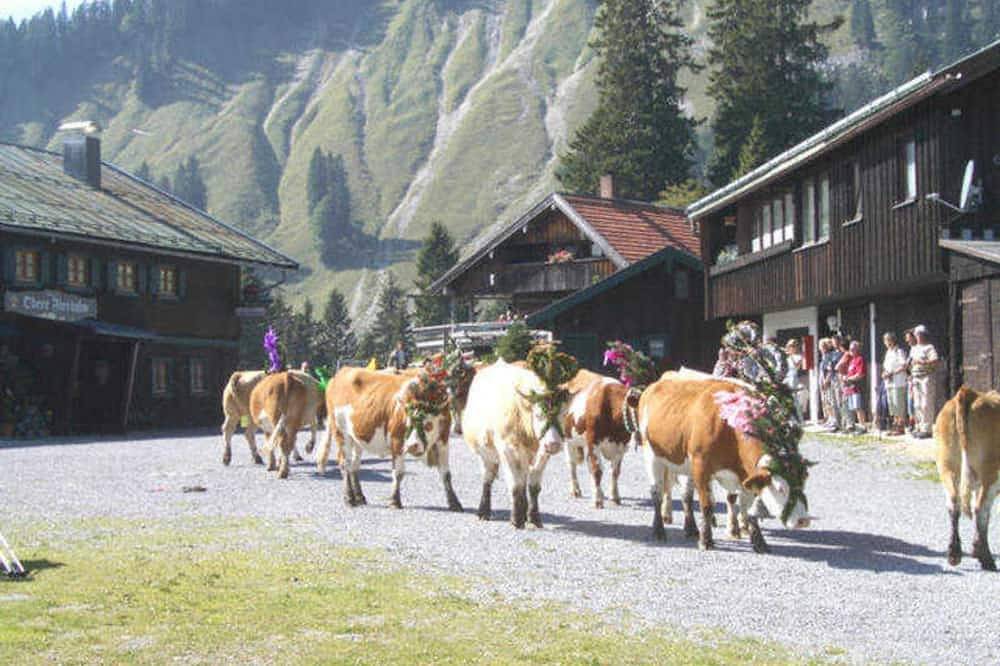 Ferienwohnung Untere Firstalm - Berggasthof Obere Firstalm in Schliersee, Spitzingsee