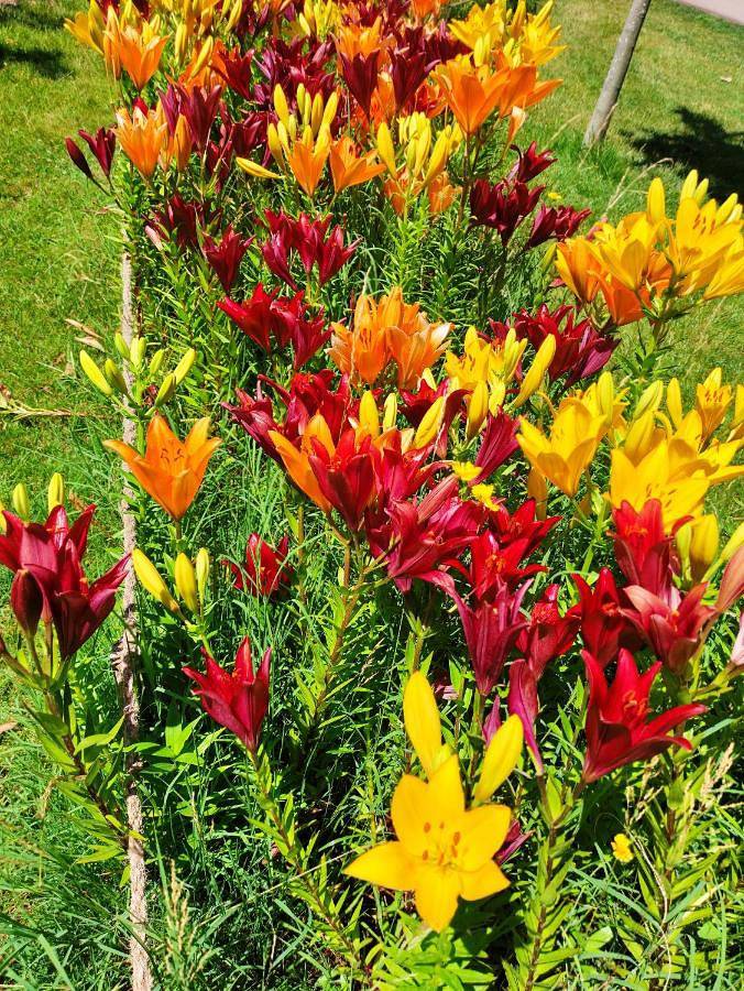 Gîte pour 2 personnes, avec jacuzzi ainsi que jardin et terrasse à Génissieux - 4