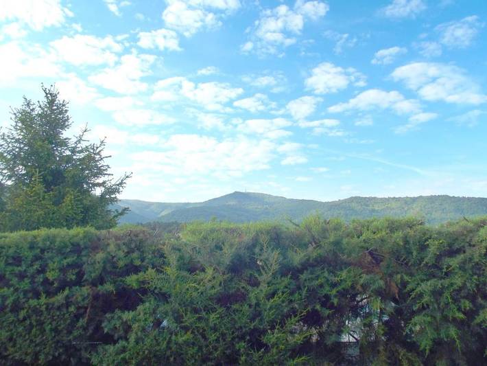 Gîte pour 7 personnes, avec piscine et jardin à Gonfaron - 4