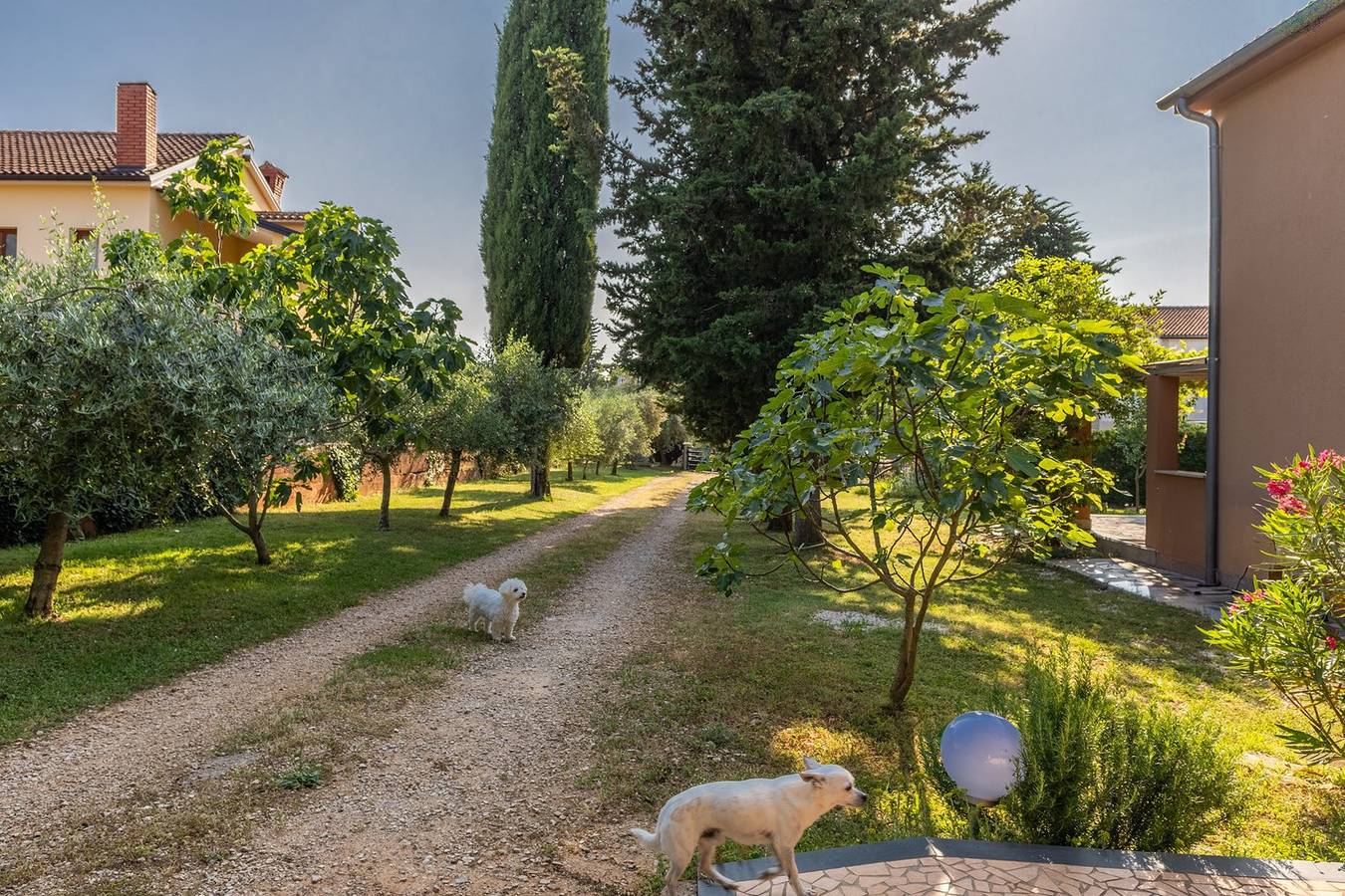 Ganze Wohnung, Apartment Sara – Haustiere erlaubt in Kukci, Porec und Umgebung