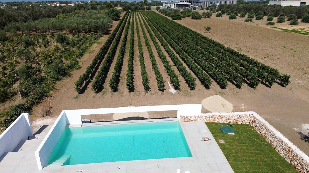 Giù al Vigneto in Leporano, Golfo di Taranto