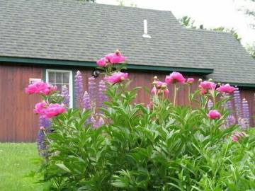 Log Cabin for 5 Guests in Pittsburg (NH), New Hampshire, Picture 4