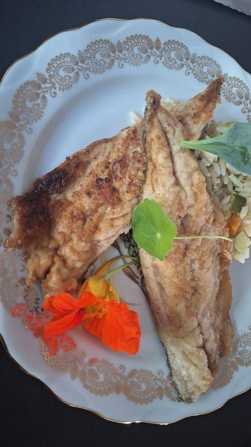 Location de vacances pour 2 personnes, avec jardin et vue, adapté aux familles dans Motteville - 2